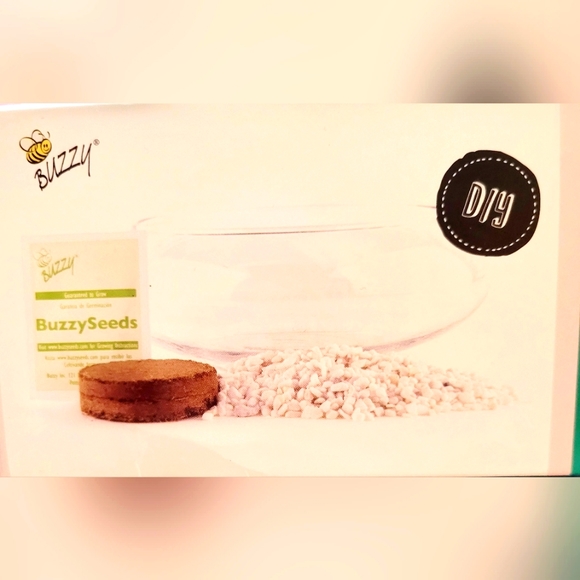 TERRARIUM CACTUS KIT - Picture 3 of 5